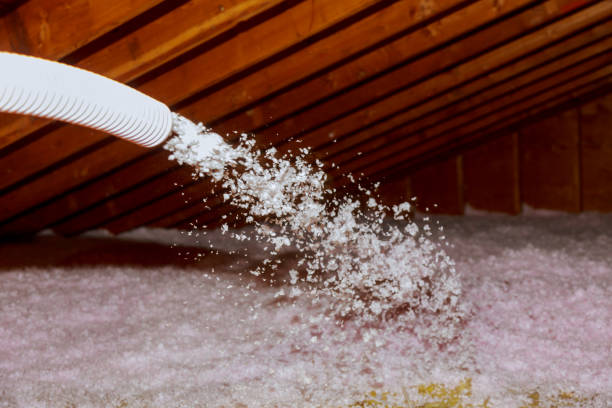 Best Spray Foam Insulation  in Millsboro, DE