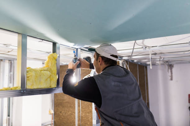 Best Attic Insulation Installation  in Millsboro, DE