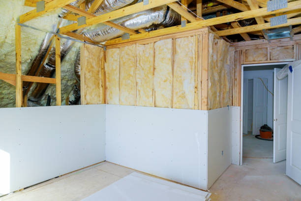 Insulation Repair Services in Millsboro, DE
