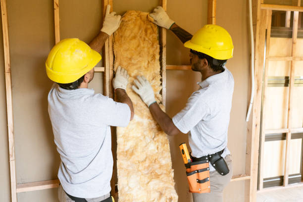 Best Insulation for Commercial Buildings  in Millsboro, DE